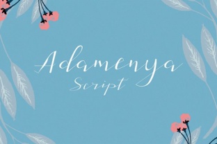 Adamenya Font: A Campaign Designer’s Review