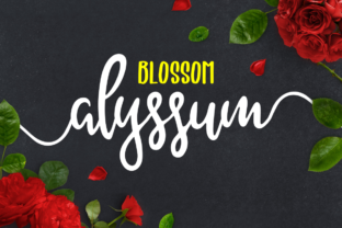 Alyssum Blossom Font Review for Branding