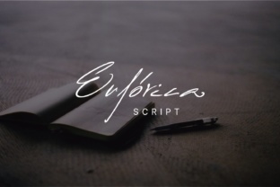 Euforica: A Designer’s Honest Review for Branding