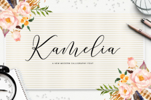 Kamelia Typeface: A Designer’s Review