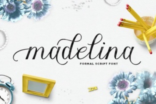 Madelina: A Designer’s Honest Review