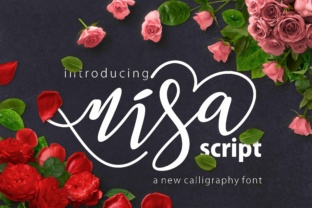 Nisa Font: A Modern Script for Brand Identity