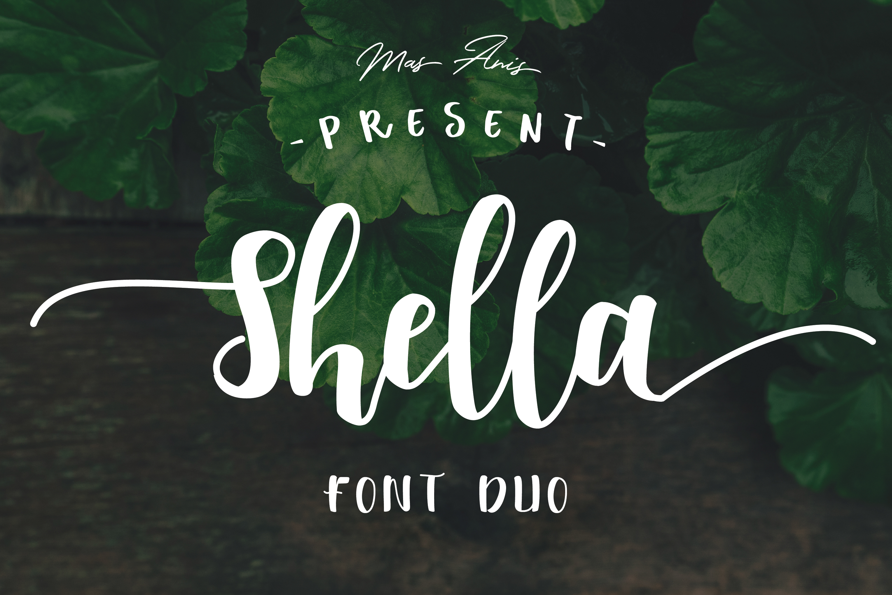 Shella Typeface: A Warm Editorial Voice