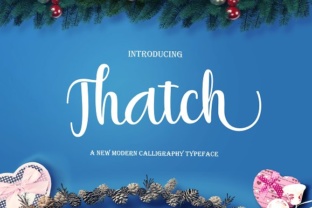 Thatch Font Review: A Modern Script for Brand Identity