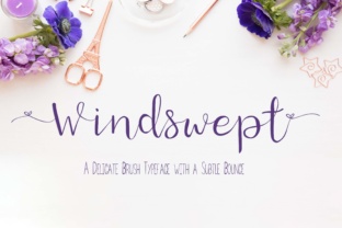 Windswept Font: A Delicate Script for Modern Branding